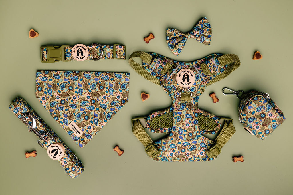 Paisley collection of dog accessories including harness, collar, lead, bandana, bow and poo bag holder all featuring an elegant paisley print on a green background