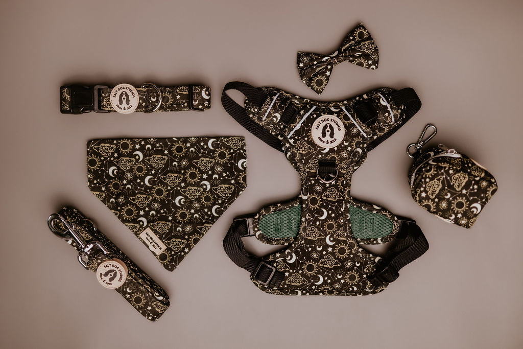 Celestial collection of dog accessories including a dog collar, lead, harness, bandana, bow tie and poo bag. Featuring a sun, moon, stars and constellation on a black background