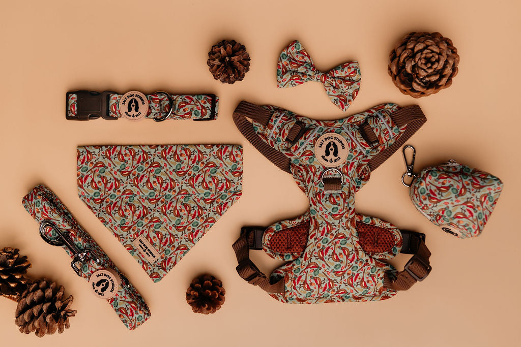 A selection of dog accessories featuring a pheasant print on a teal background.