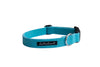 'The Original UK' Turquoise Hemp Dog Collar ©