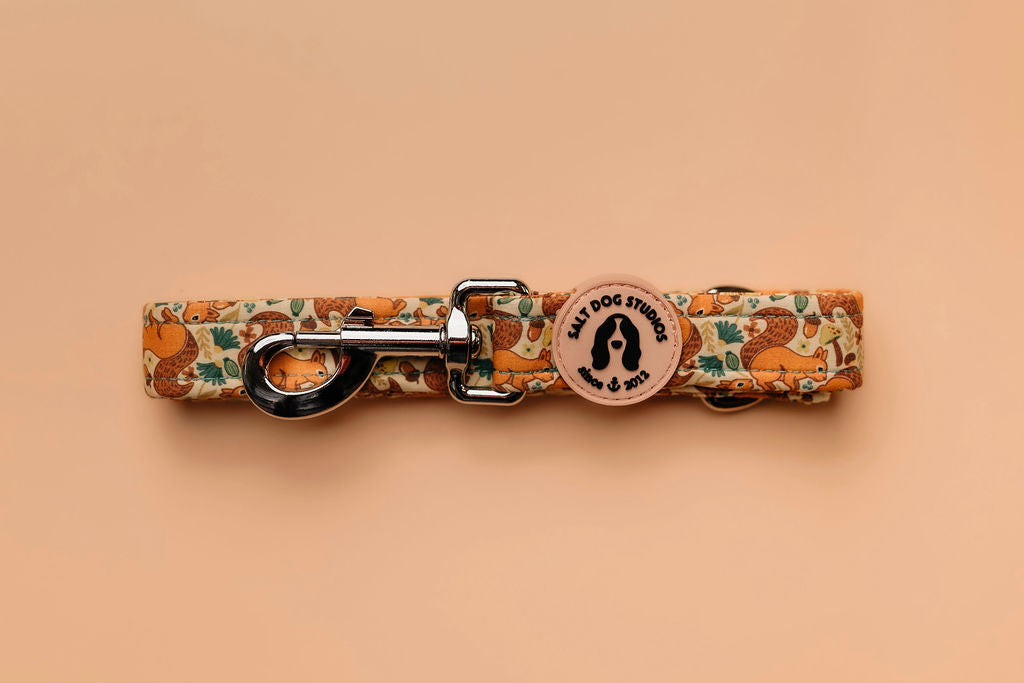 Splendid Squirrels dog lead