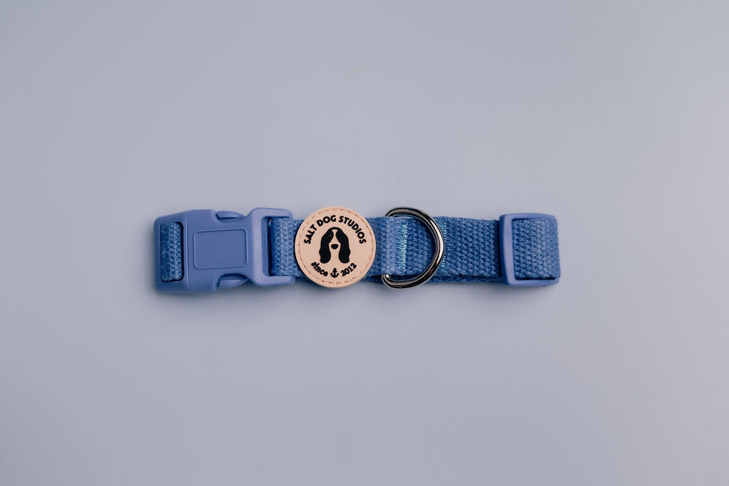 cornflower blue hemp dog collar