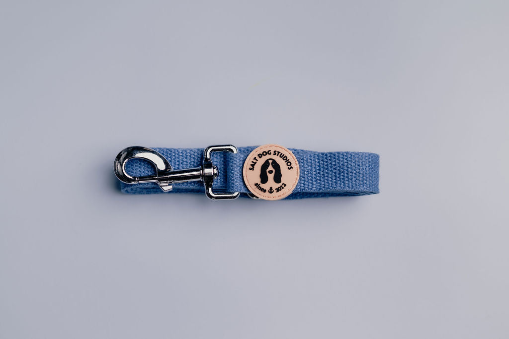 cornflower blue hemp dog lead