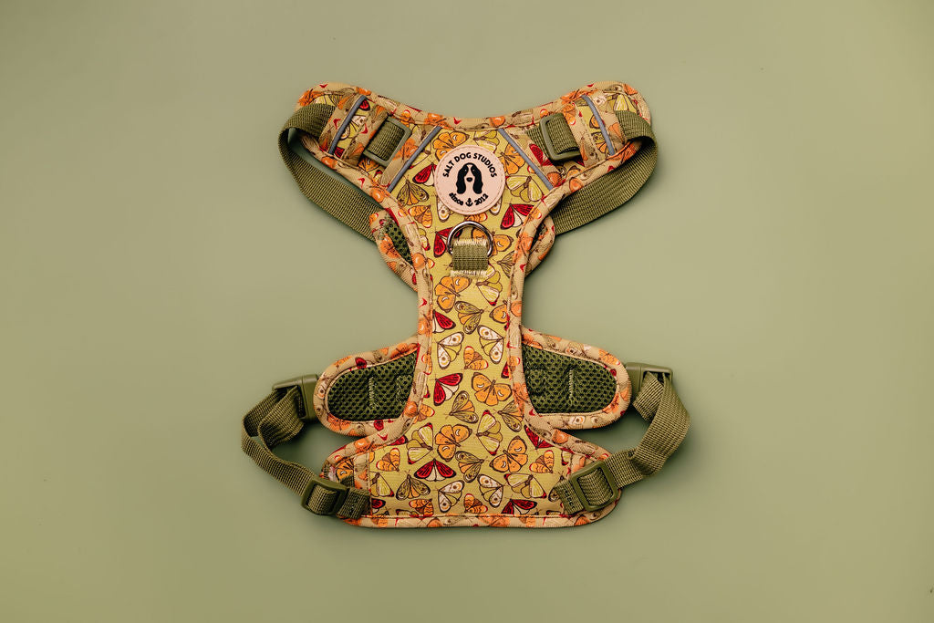 flutterby butterfly ultra comfort dog harness