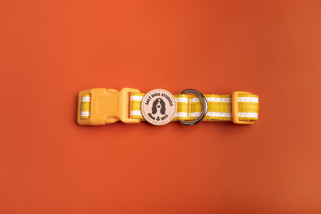 striped sunflower yellow hemp dog collar