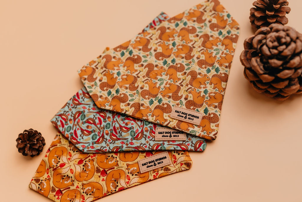 Dog Bandanas