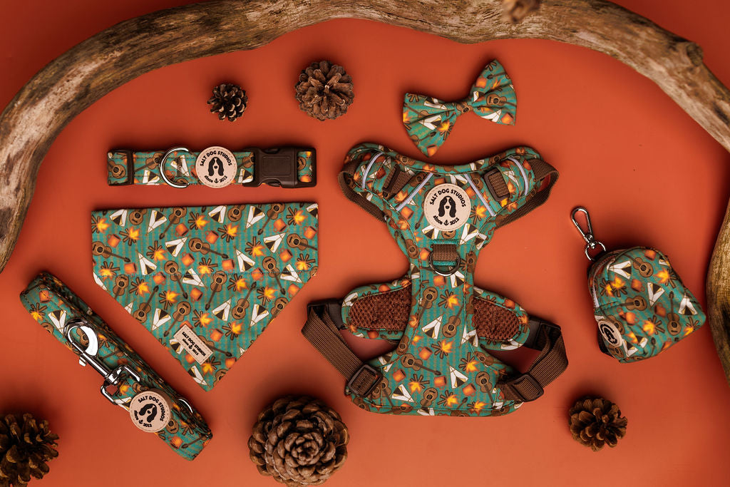 Mountain Camp Out Collection by Salt Dog Studios — teal and cocoa camping print featuring guitars, tents and cocoa mugs on durable dog accessories.