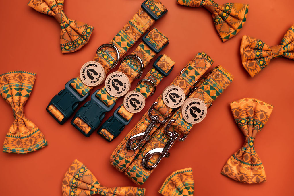 Mountain Aztec dog accessories collection - bright orange geometric pattern by Salt Dog Studios