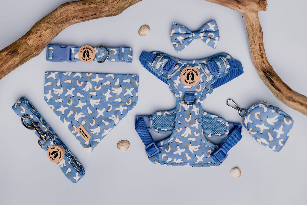 Seagulls Collection by Salt Dog Studios — coastal blue print with white seagulls, featuring matching collars, leads, harnesses, bandanas, and accessories.