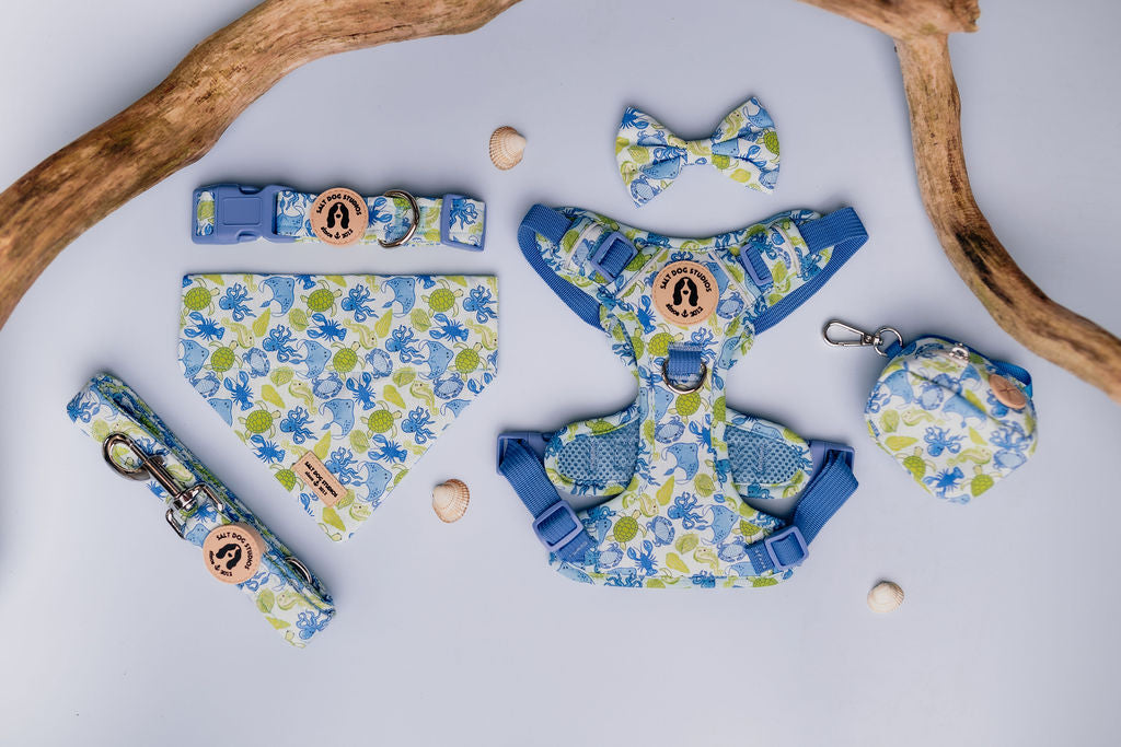 Salt Dog Studios Ocean Life Collection featuring sea life print dog accessories — collars, leads, harnesses, bandanas and poo bag holders in coastal blue.