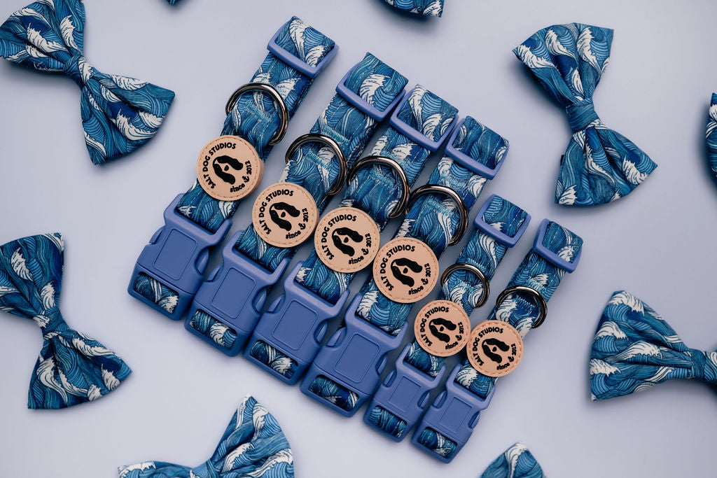 Catching Waves Collection by Salt Dog Studios — blue nautical dog accessories inspired by the sea, featuring collars, leads, and matching pieces.
