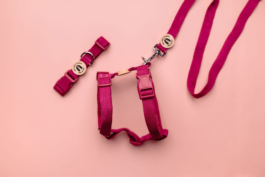 Selection of organic hemp dog harnesses in assorted colours – eco-friendly, soft, and adjustable design by Salt Dog Studios.