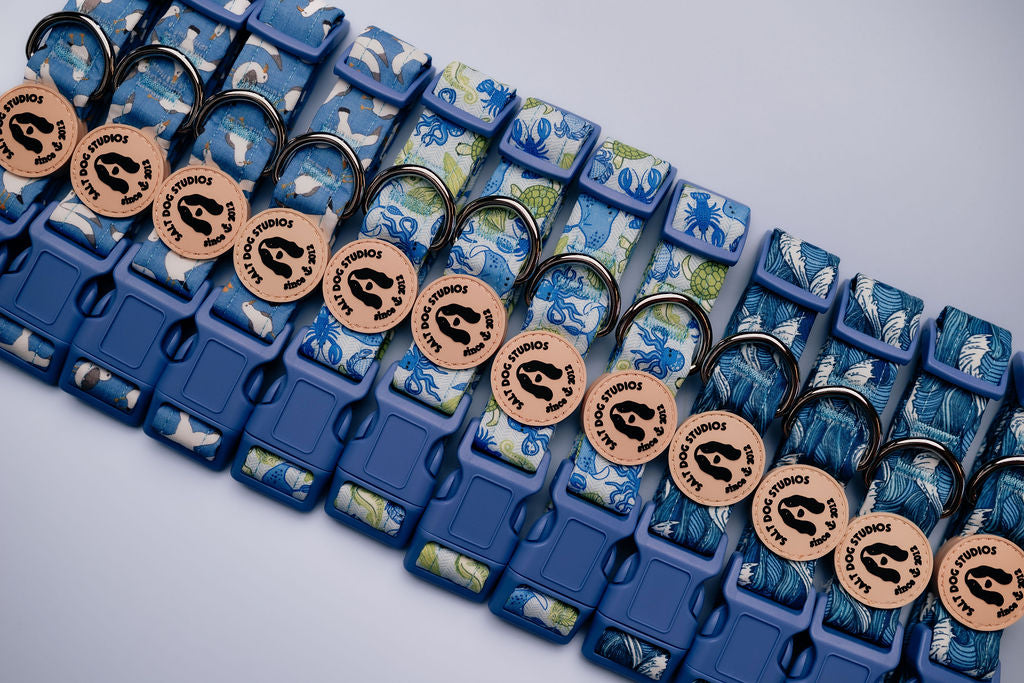 A collection of nautical themed dog collars lined up in a row
