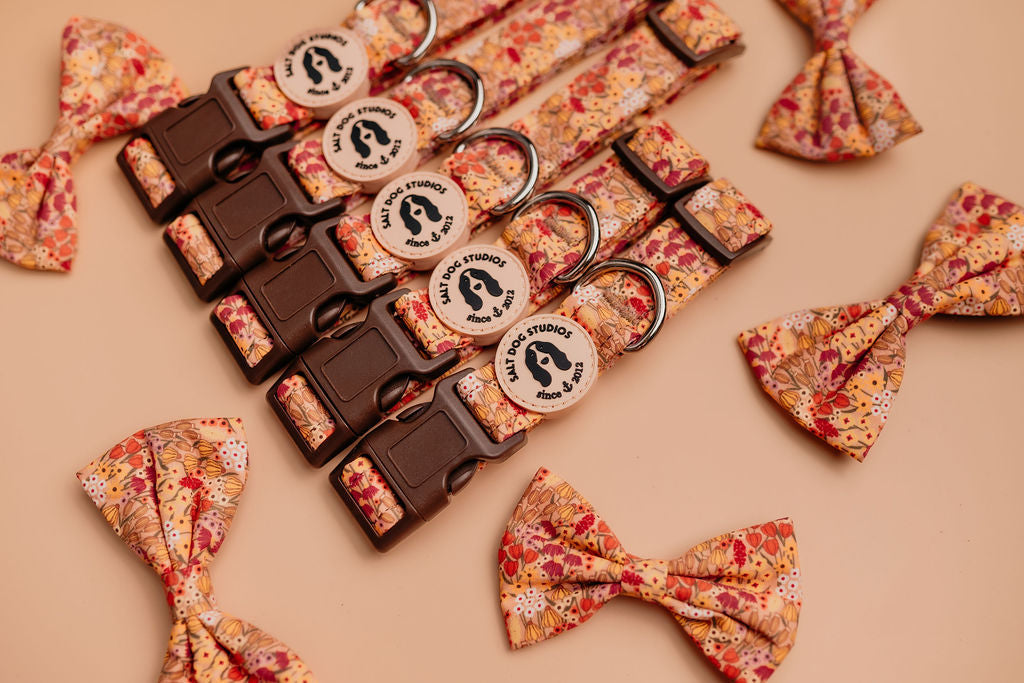 Wildflower Meadow collection — floral collar, lead, bandana and bow tie