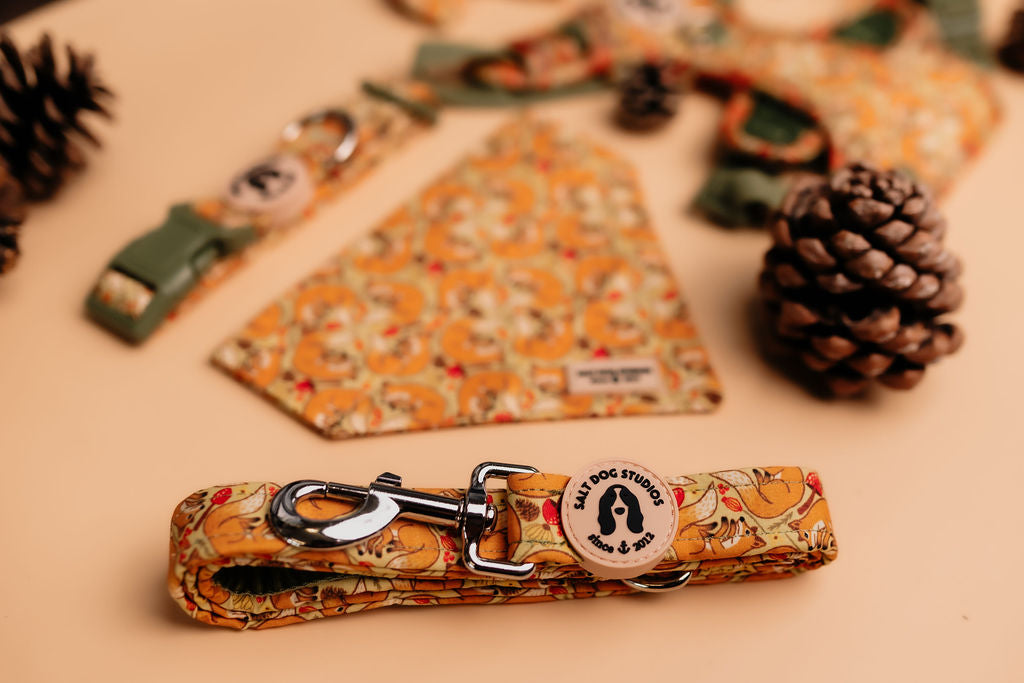 Fantastic Fox Collection by Salt Dog Studios — fox print collars, leads, and harnesses on green and golden woodland background.