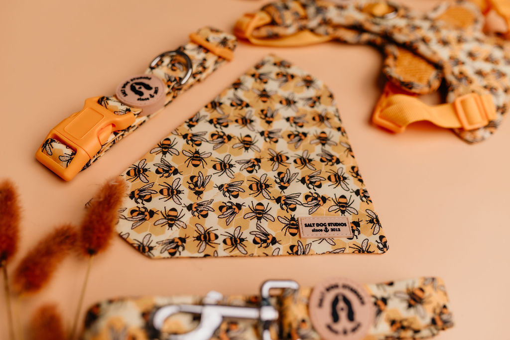 Salt Dog Studios Honey Bee Hive Collection featuring yellow honeycomb and bumblebee print dog accessories including collars, leads, and harnesses.