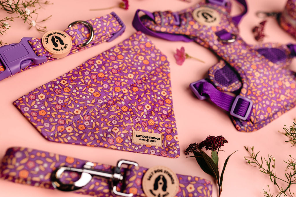 Purple floral dog accessories set including collar, lead, harness, bandana, bow tie and poo bag holder on pink background.