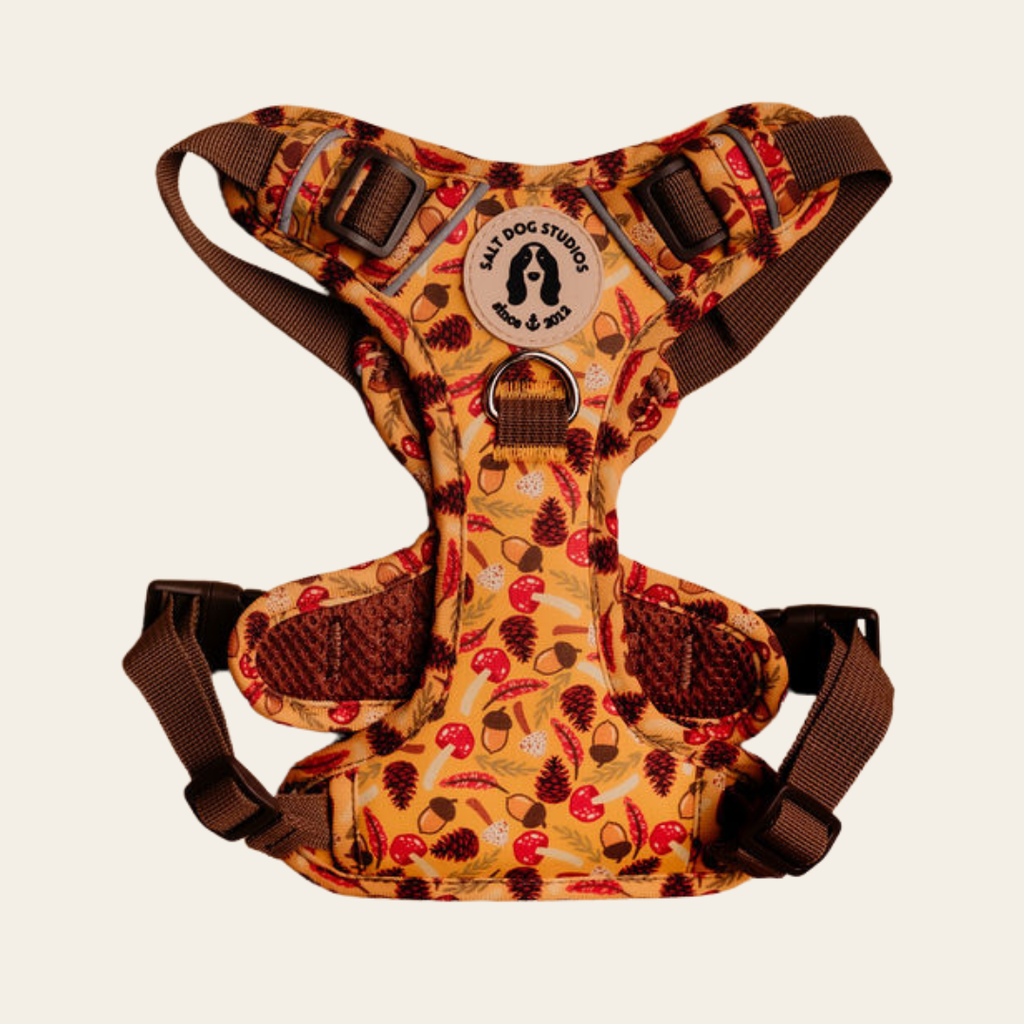 Woodland Treasure matching dog accessories