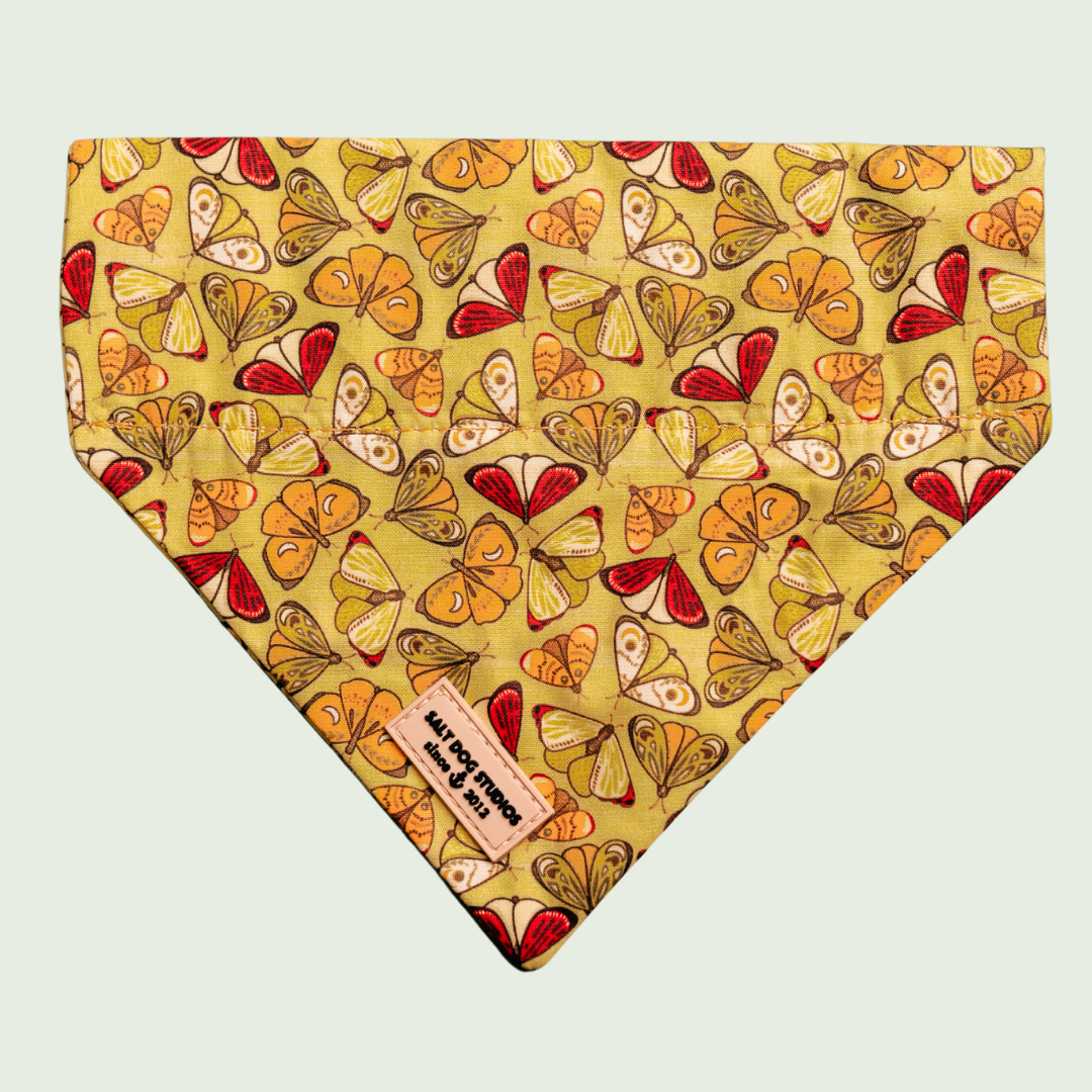 Flutterby Butterfly dog bandana with colourful butterflies on yellow, shown flat