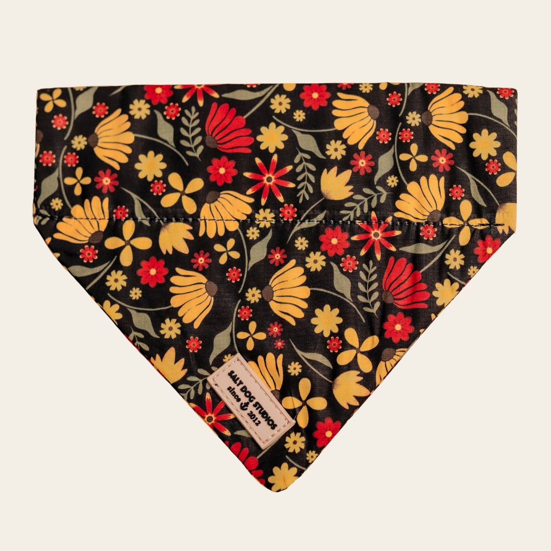 Folksy Flowers dog bandana with colourful flowers on black, shown flat