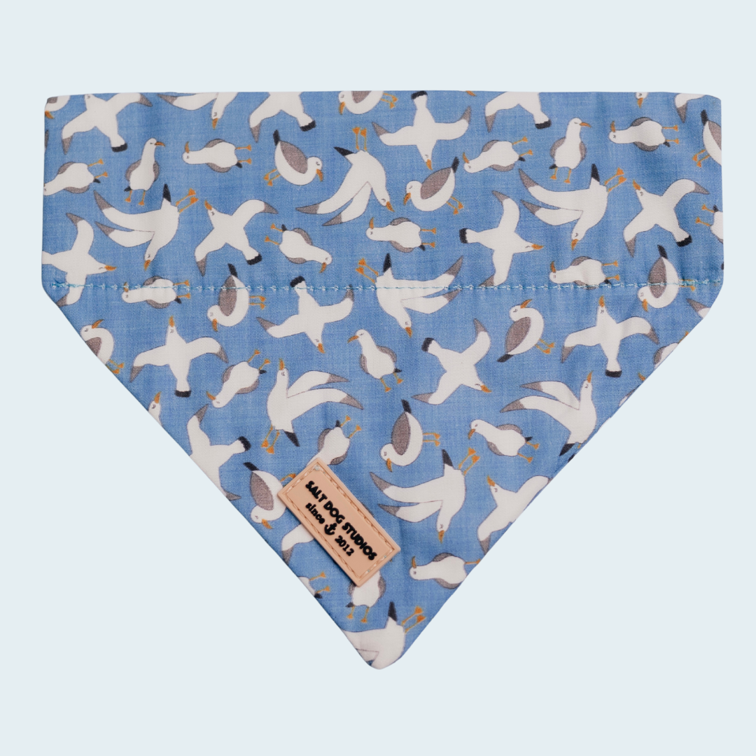 Seagulls dog bandana with white seagulls on pale blue, shown flat