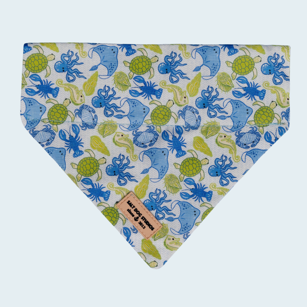 Ocean Life dog bandana with blue and green sea-life print, shown flat