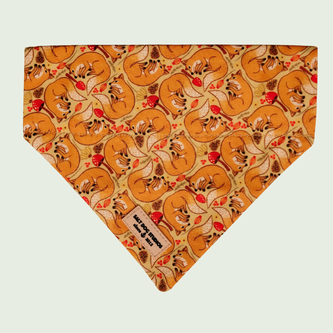 Fantastic Fox dog bandana with orange fox and fern print, shown flat