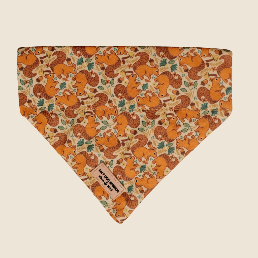 Splendid Squirrels dog bandana with orange squirrels and leaves, shown flat
