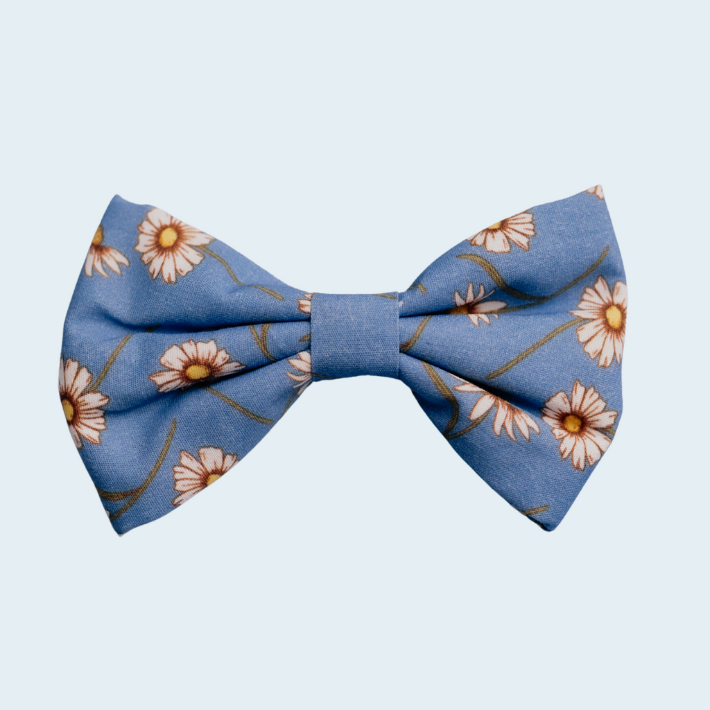 Daisy Daisy Dog Bow Tie