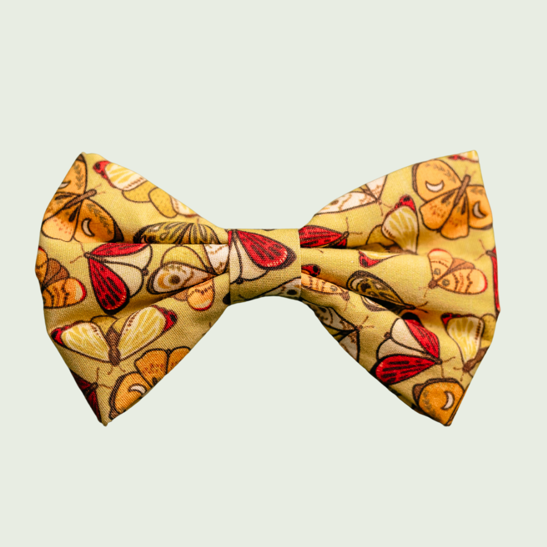 Flutterby Butterfly dog bow tie with colourful butterflies on yellow, front view