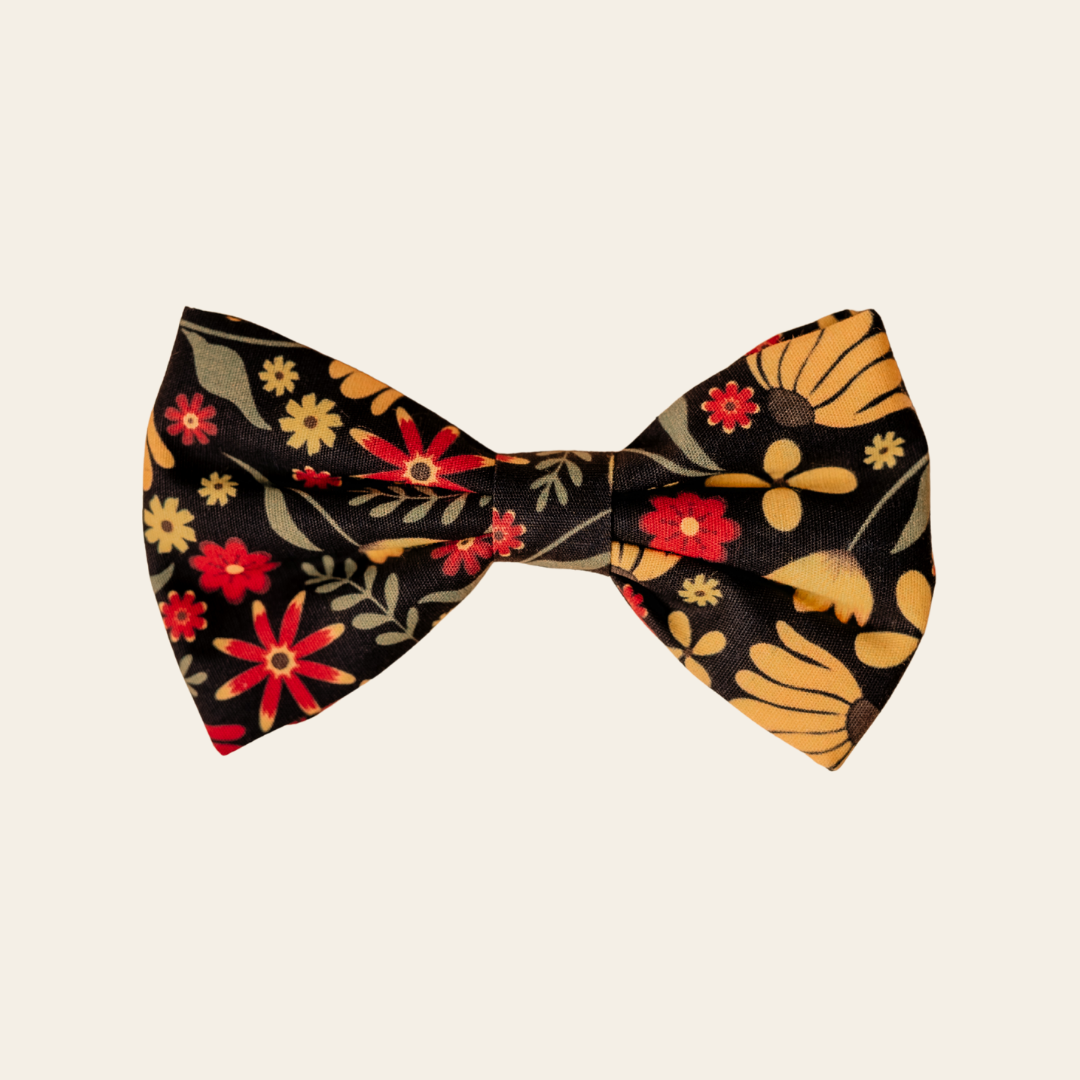 Folksy Flowers dog bow tie with colourful flowers on black, front view