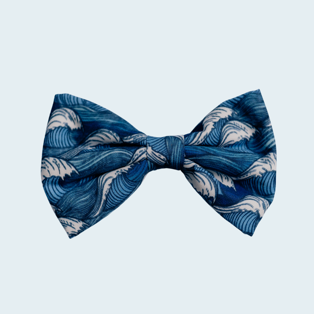 Catching Waves Complete Collection — Five-Piece Walking Set