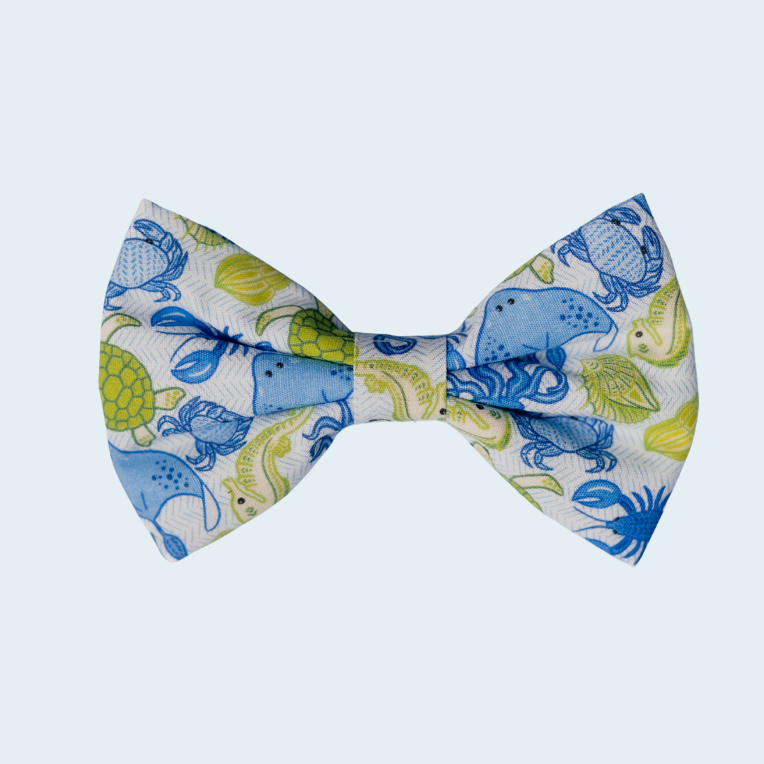 Ocean Life dog bow tie with blue and green sea-life print, front view