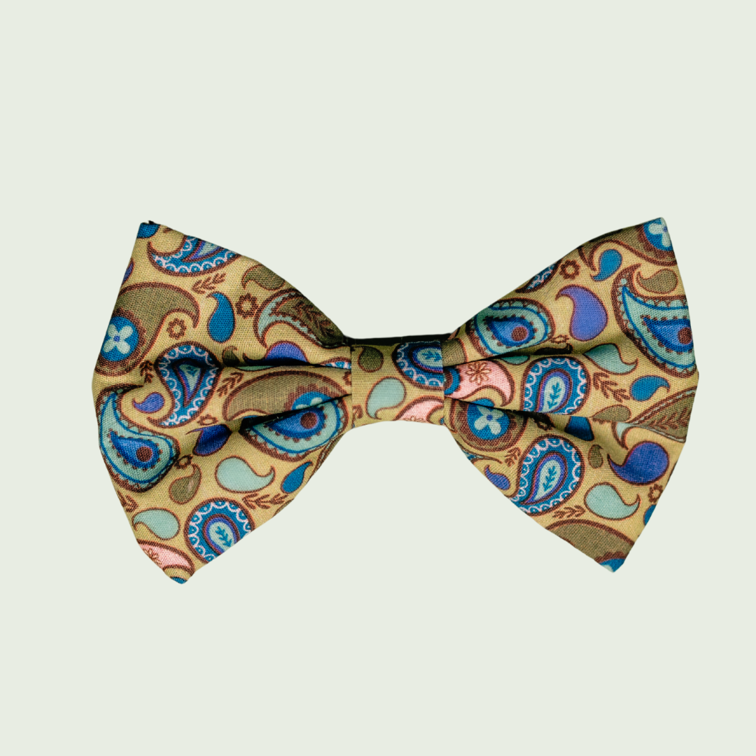 Paisley dog bow tie with blue, green and yellow paisley print, front view