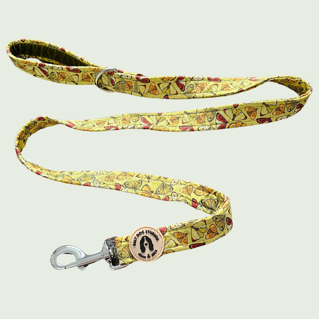 Flutterby Butterfly dog lead with colourful butterflies on yellow and metal clip
