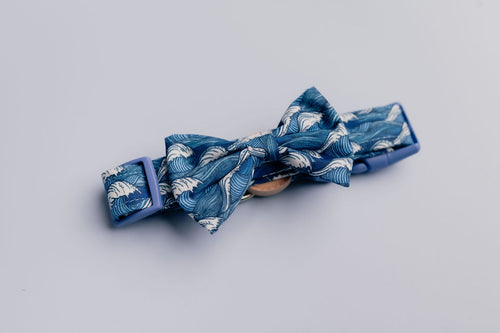 Catching waves dog bow ties on dog collar