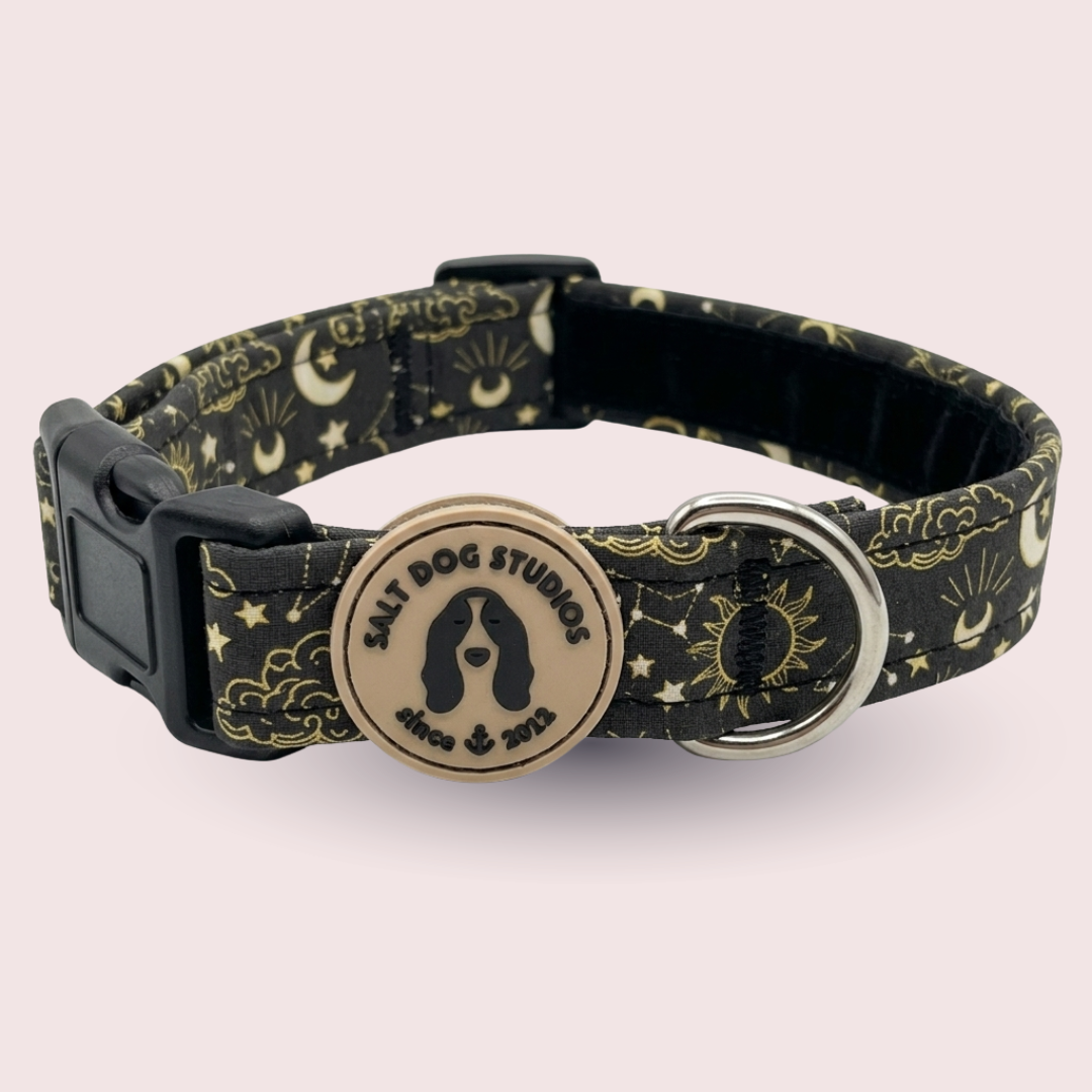 Celestial Dog Collar