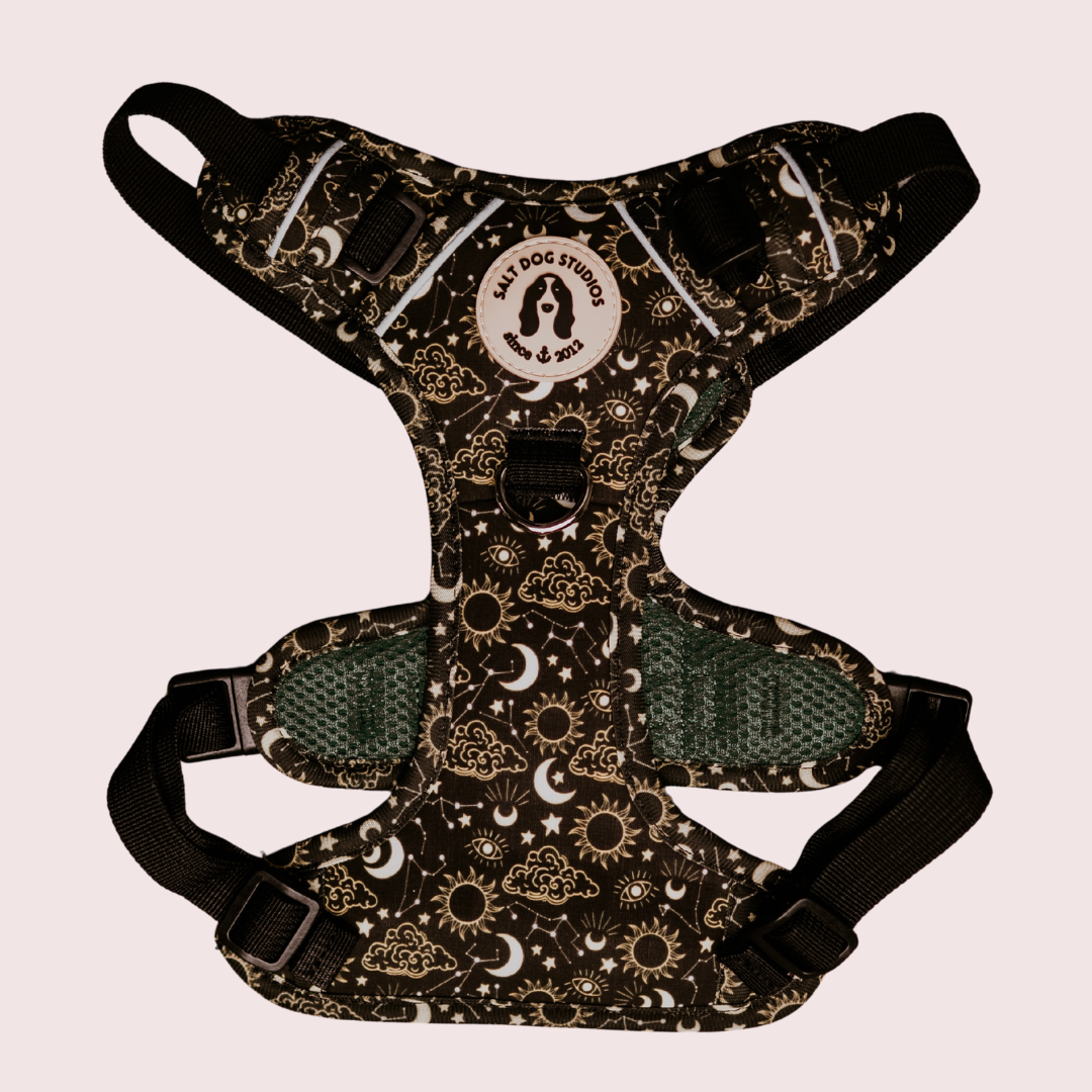 Celestial dog harness with gold suns, moons and stars on black and adjustable straps