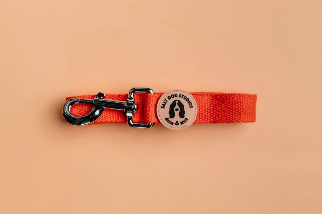 Clementine orange hemp dog lead