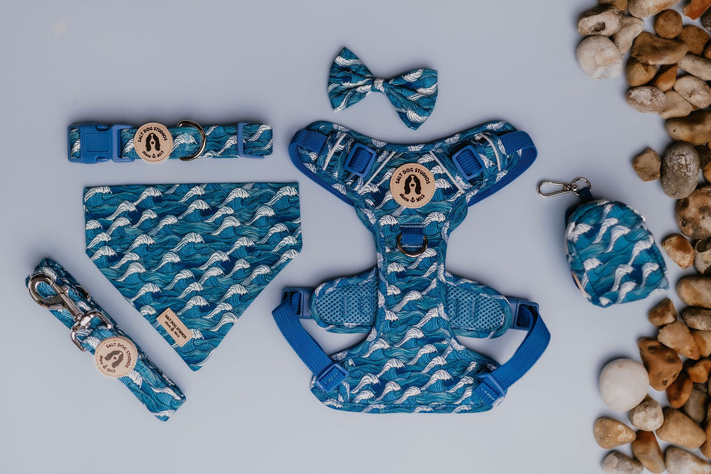 Fab 5 – Luxury Dog Walk Set (£75 Cyber Week Special) Harness, Collar, Lead + Two Accessories