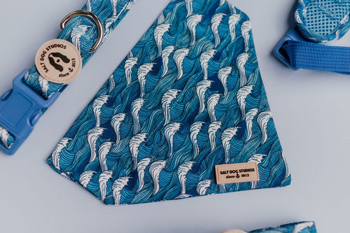 Catching Waves Dog Bandana ©