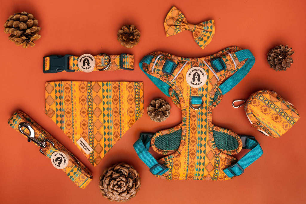 Fab 5 – Luxury Dog Walk Set (£75 Cyber Week Special) Harness, Collar, Lead + Two Accessories