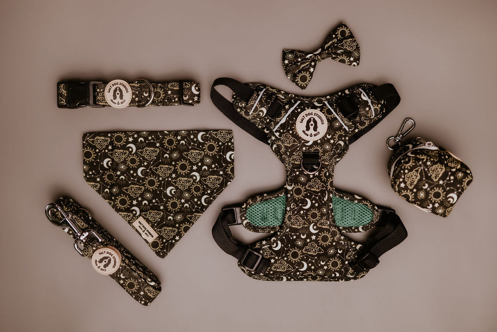 Fab 5 – Luxury Dog Walk Set (£75 Cyber Week Special) Harness, Collar, Lead + Two Accessories