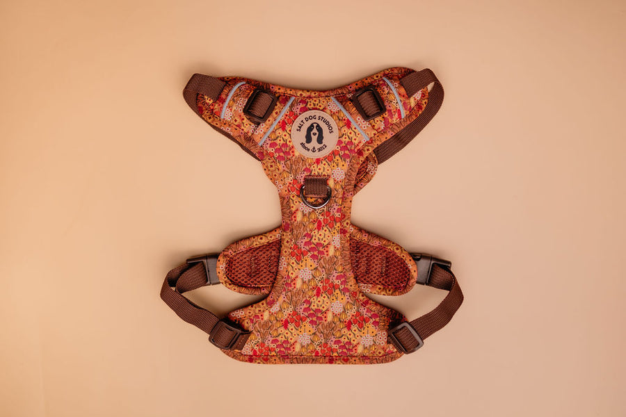 Wildflower Meadow dog harness with floral print on neutral background
