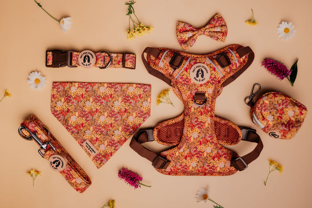 Fab 5 – Luxury Dog Walk Set (£75 Cyber Week Special) Harness, Collar, Lead + Two Accessories