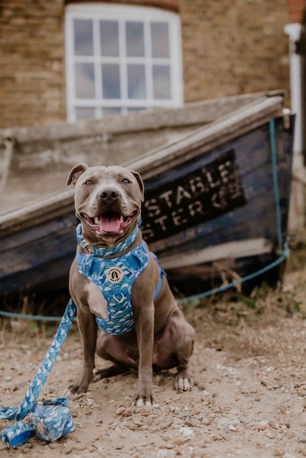 Catching Waves Ultra Comfort Dog Harness ©