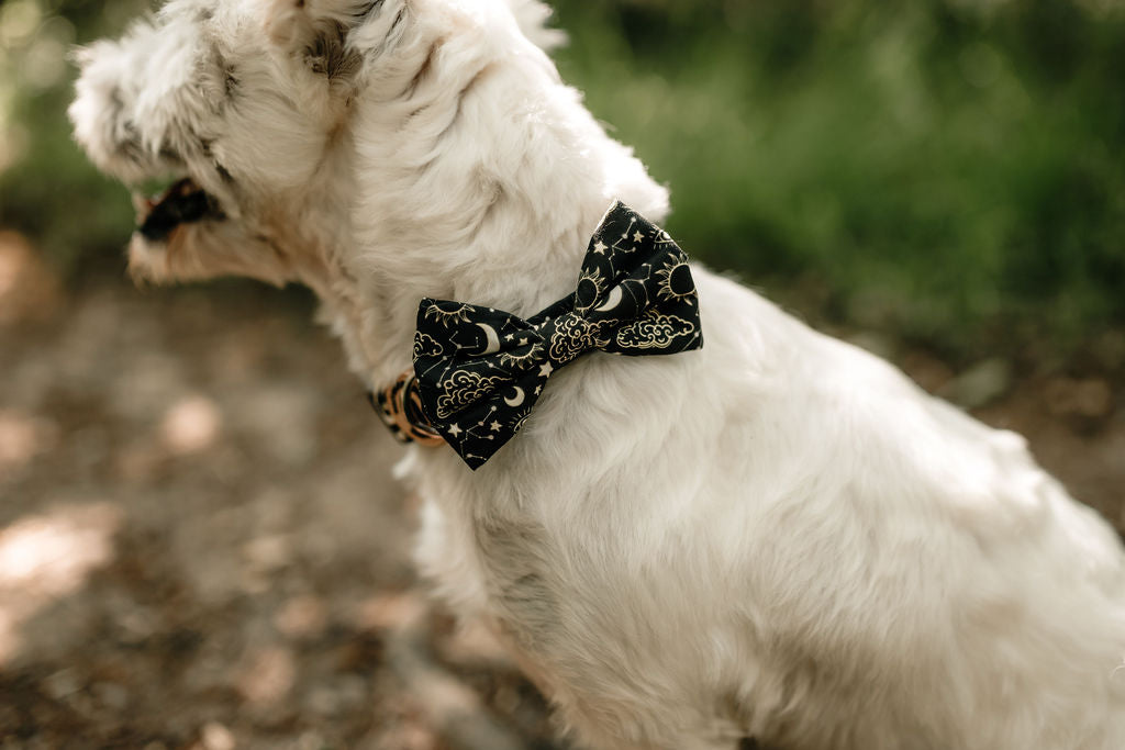 Celestial Dog Bow Tie ©