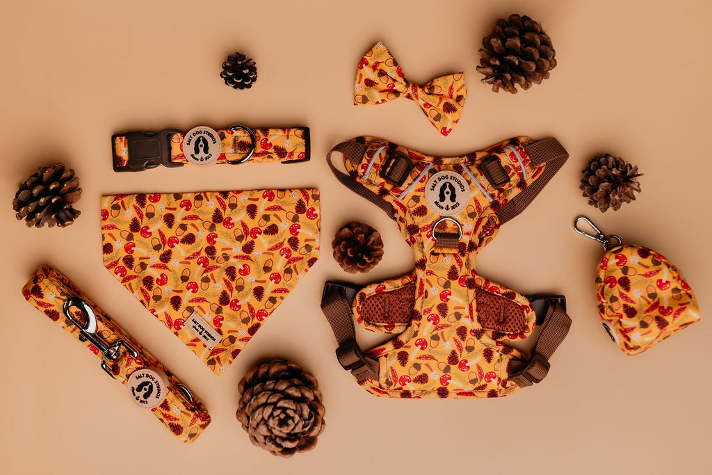 Fab 5 – Luxury Dog Walk Set (£75 Cyber Week Special) Harness, Collar, Lead + Two Accessories