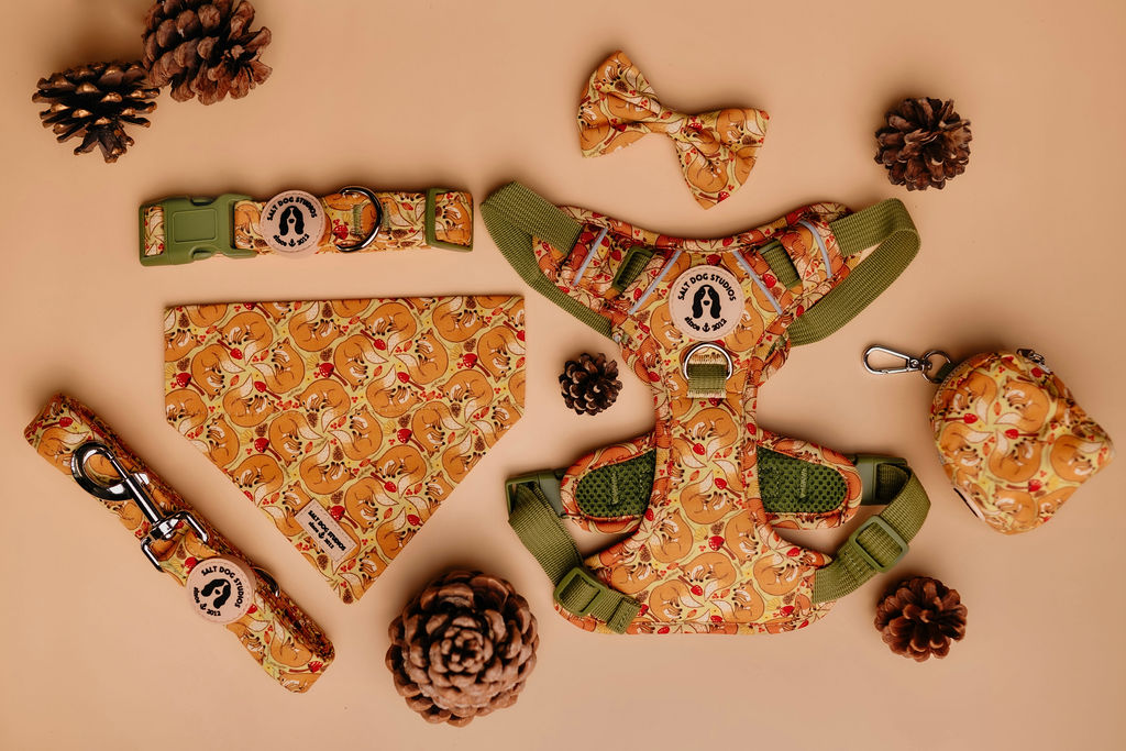 Fab 5 – Luxury Dog Walk Set (£75 Cyber Week Special) Harness, Collar, Lead + Two Accessories