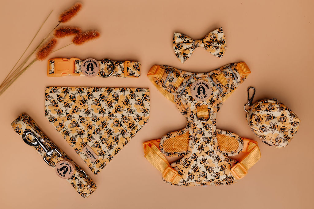 Fab 5 – Luxury Dog Walk Set (£75 Cyber Week Special) Harness, Collar, Lead + Two Accessories